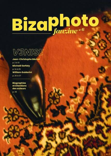 Bizafanzine N.6 ; V3nise