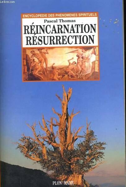 Reincarnation Resurrection