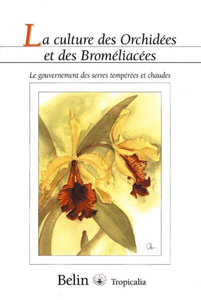 Culture des Orchidees et des Bromeliacee
