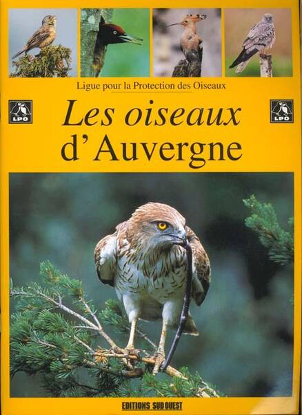 Oiseaux D Auvergne