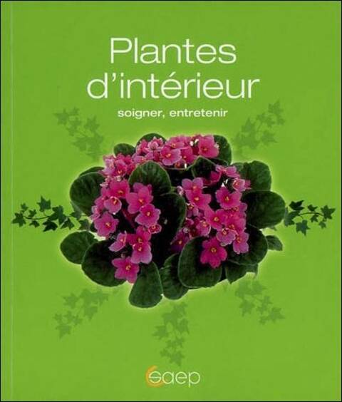 Plantes d'intérieur