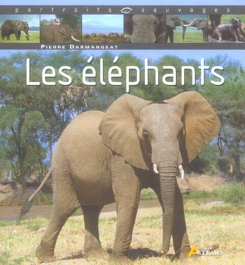 Les Elephants
