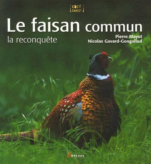 Faisan Commun (Le)