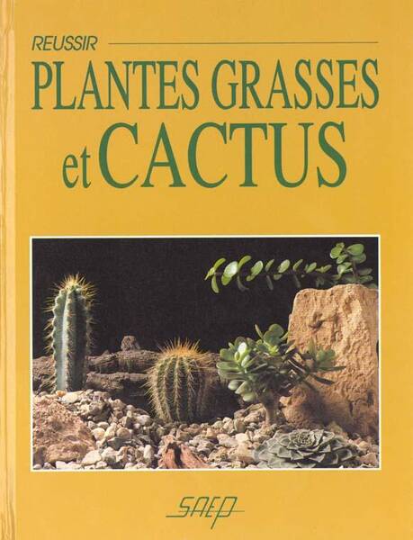 Reussir Plantes Grasses et Cactus