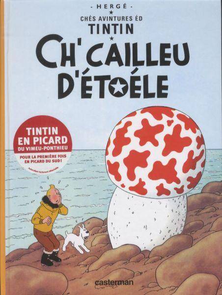 Ches avintures éd Tintin: Ch' cailleu d'étoéle