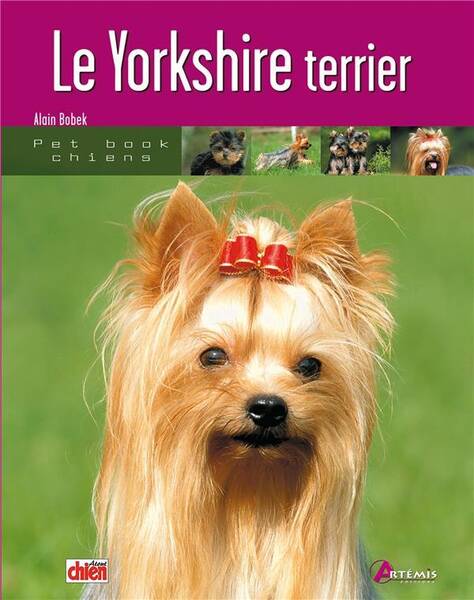 Yorkshire Terrier (Le)