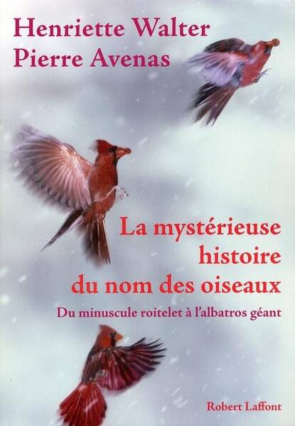 La mystérieuse histoire du nom des oiseaux