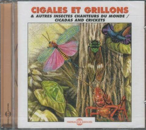 Cigales et grillons et autres insectes chanteurs du monde