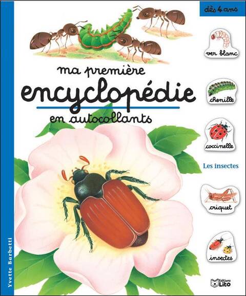 Les insectes