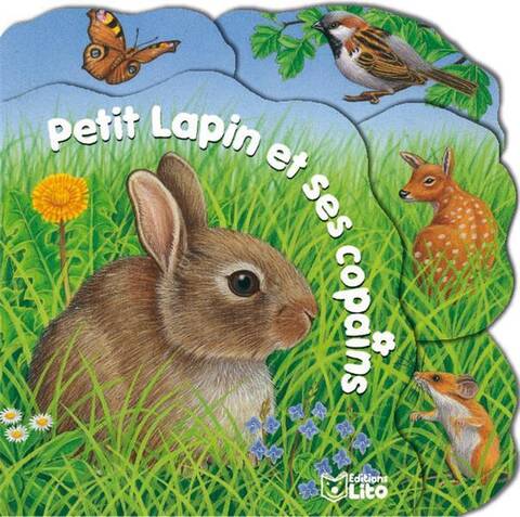 Pt lapin et ses copains