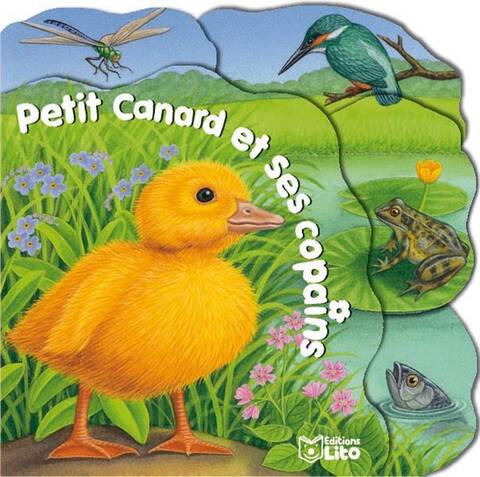 Petit canard et ses copains