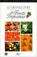 Des Fruits Tropicaux