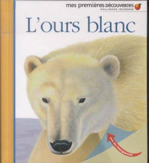 L'ours blanc