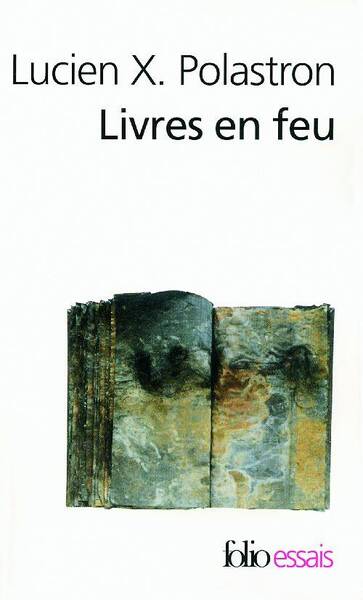 Livres en feu. Histoire de la destruction sans fin des bibliothèques