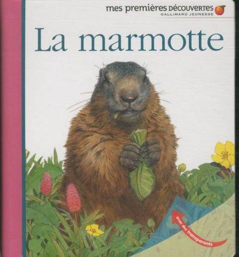 La marmotte