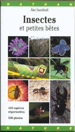 Insectes et petites bêtes