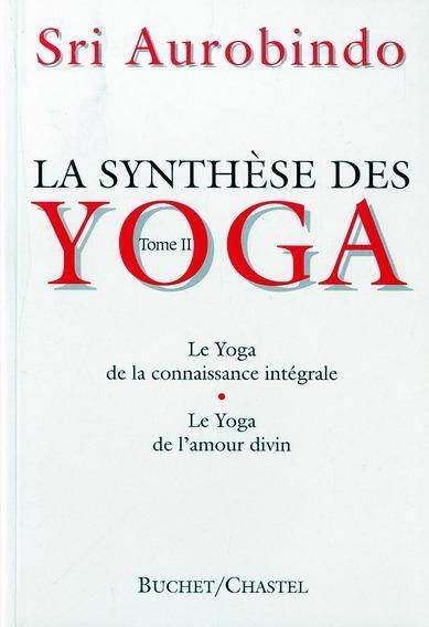La Synthese des Yoga T2