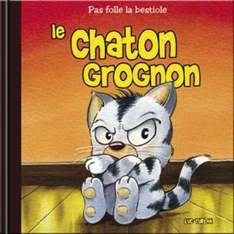 Chaton Grognon