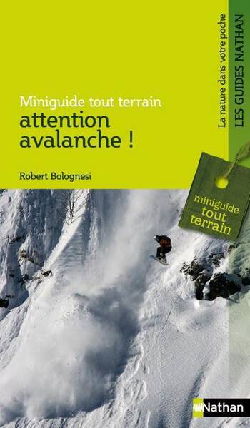 Attention avalanche