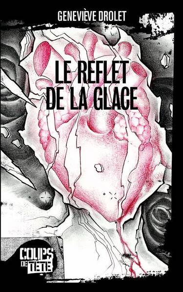 LE REFLET DE LA GLACE