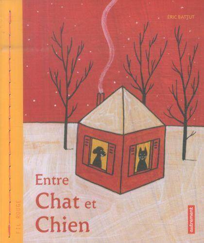 Entre chat et chien