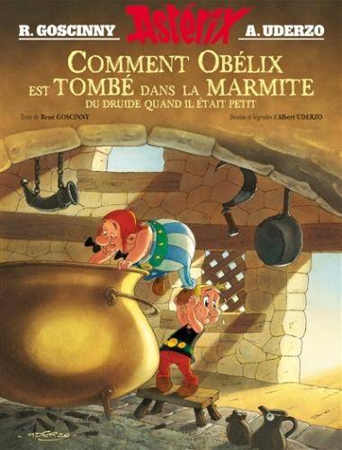 Comment Obélix est tombé dans la marmite du druide quand il était