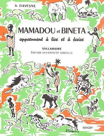 Mamadou et Bineta apprennent à lire et à écrire