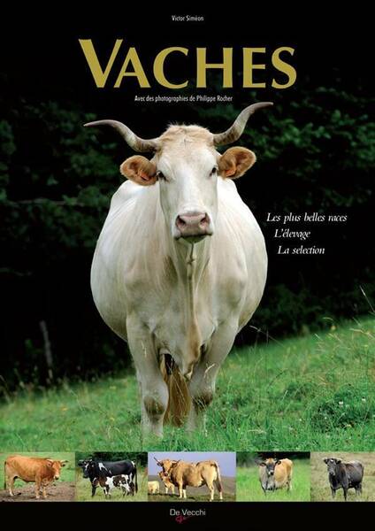 Vaches - Ned 2014