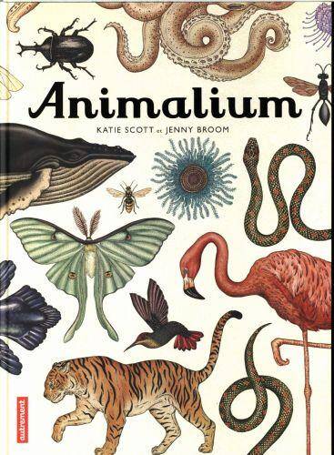 Animalium