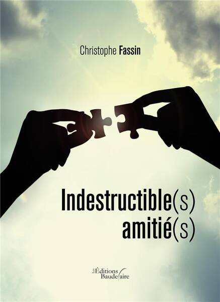 Indestructible s amitie s