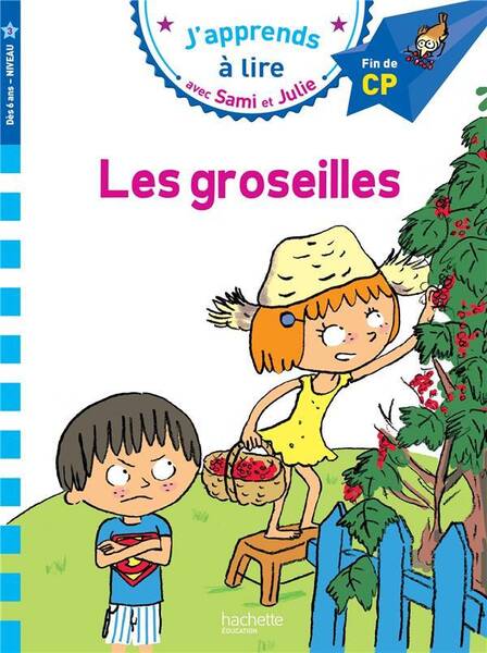 Les groseilles : niveau 3