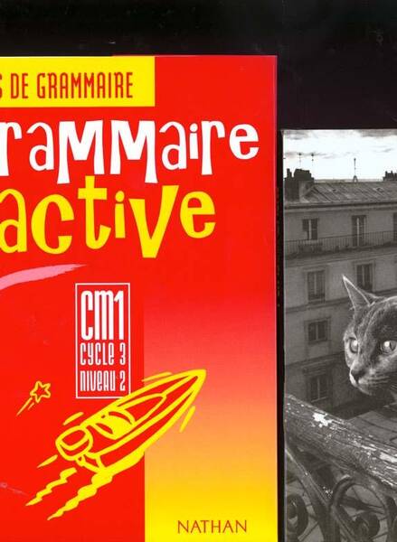 Grammaire active CM1 / Cycle 3, Niveau 2