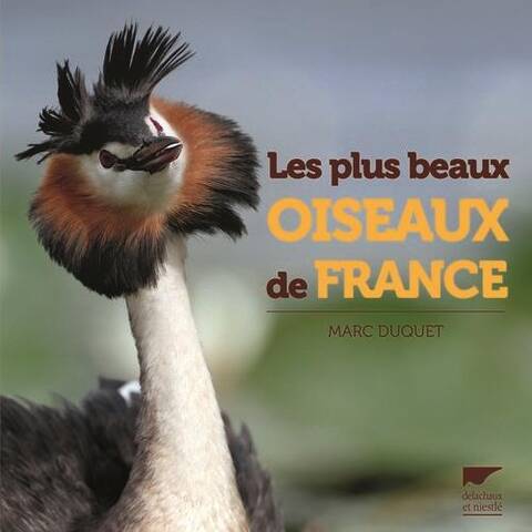 Plus Beaux Oiseaux de France