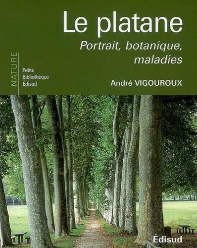 Le platane : portrait, botanique, maladies