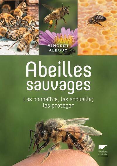 Accueillir les Abeilles Chez Soi. Mieux les Connaitre et Leur Rendre