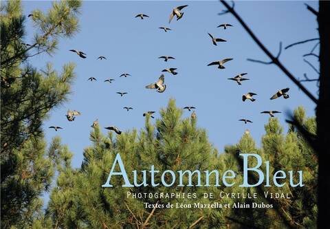 Automne Bleu ; Chasse a la Palombe