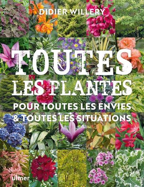 Plantes Mode D'Emploi