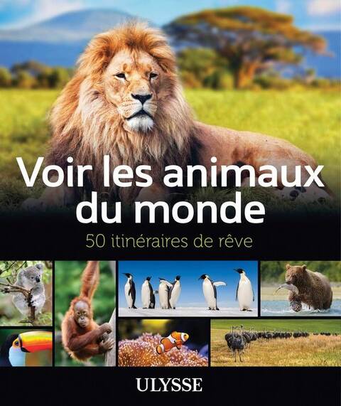 Voir les animaux du monde : 50 itinéraires de rêve