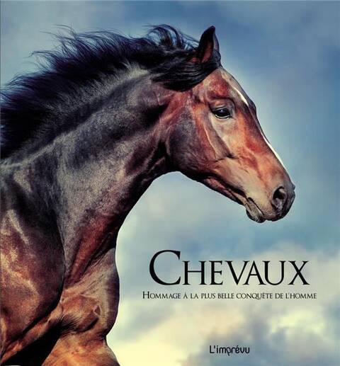 CHEVAUX