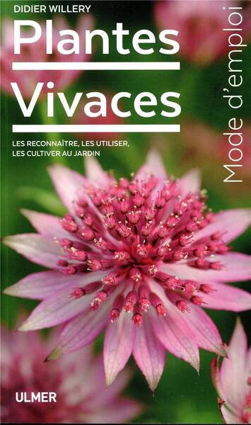 Plantes vivaces