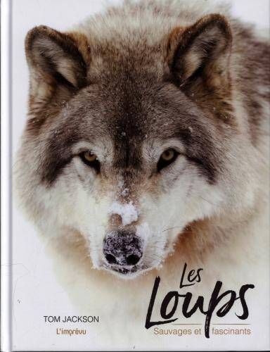 Les loups : sauvages et fascinants