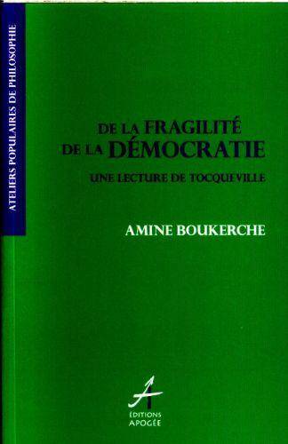 De la Fragilite de la Democratie ; une Lecture de Tocqueville