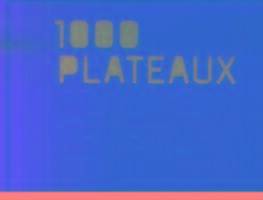 1000 PLATEAUX