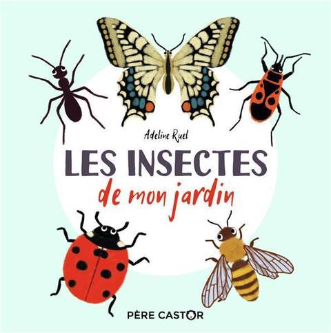 Les insectes de mon jardin