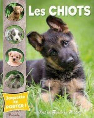 Les chiots