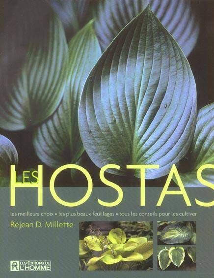 Les hostas