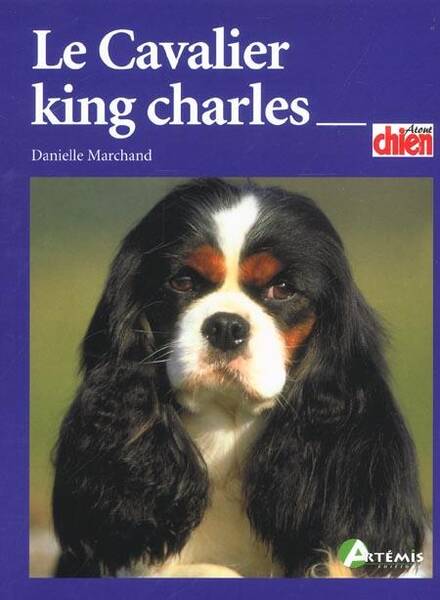 Le Cavalier King Charles