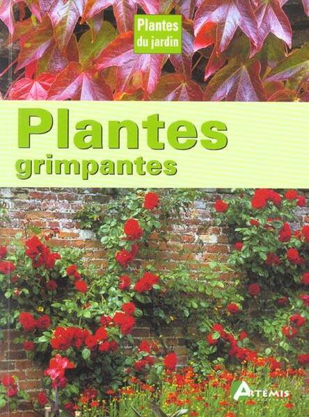 Plantes Grimpantes