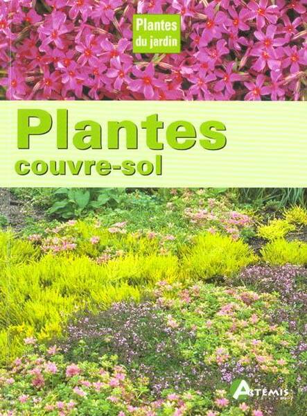 Plantes Couvre Sol