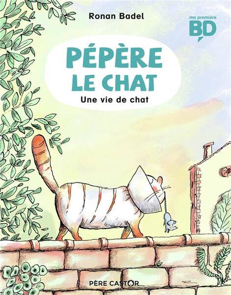 Pépère le chat